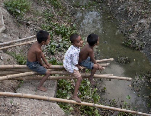 Water for food in the Sundarbans’ coastal area